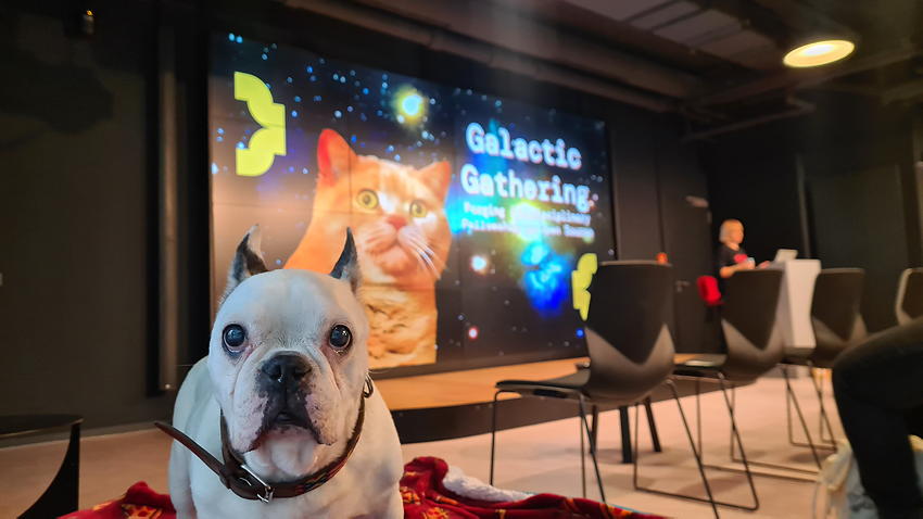 Conference mascot French bulldog Brutus looks attentive when Keynote speaker Paloma’s slides come on stage. The slide is a picture of a ginger cat with the title Galactic Gathering